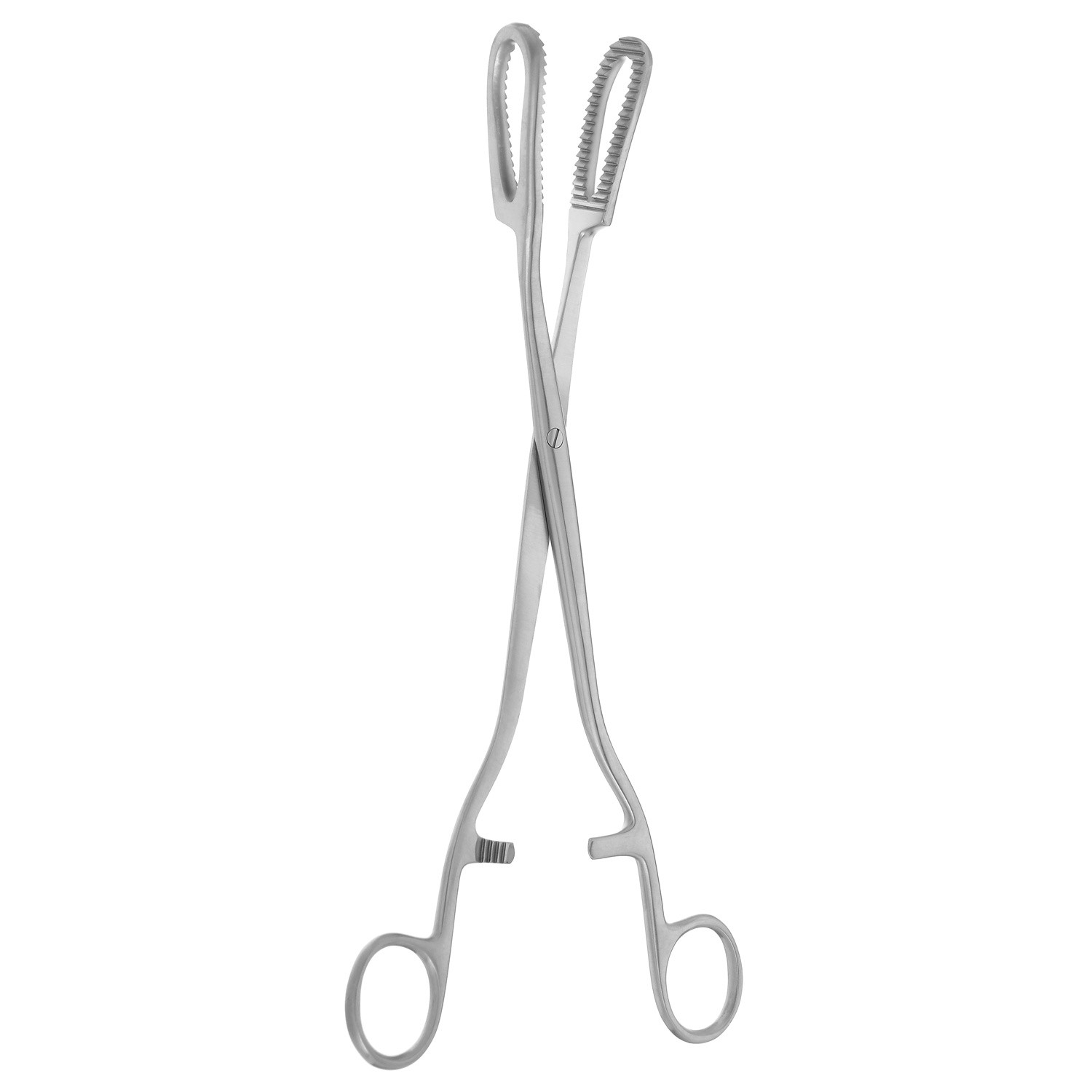 Willett Placenta Praevia Forceps, 7 1/2" (19.0 Cm)